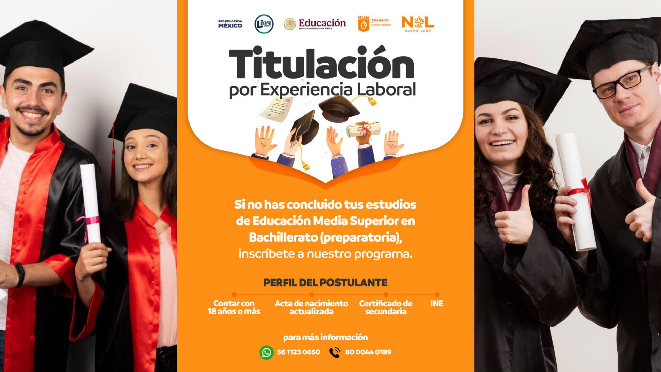 Plecas e informacion (63)