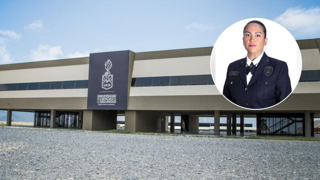 Plecas e informacion (78)