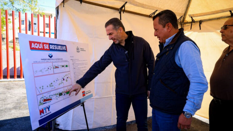 Plecas e informacion (79)