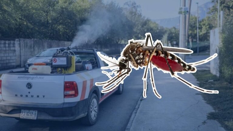 Exhorta Salud a reforzar medidas contra el dengue en Nuevo León