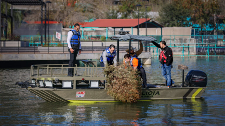 Plecas e informacion (82)