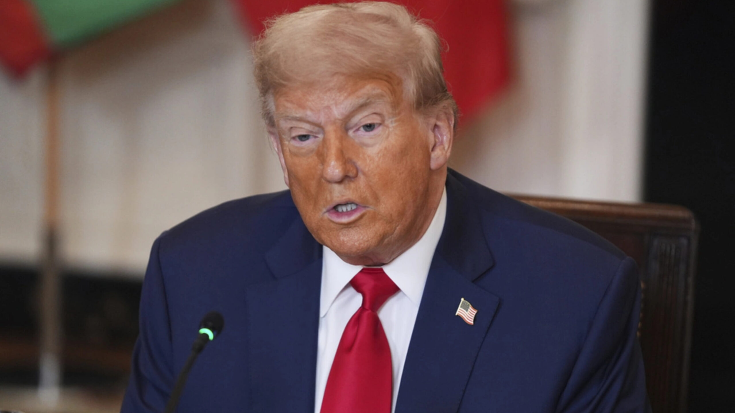 Plecas e informacion (84)