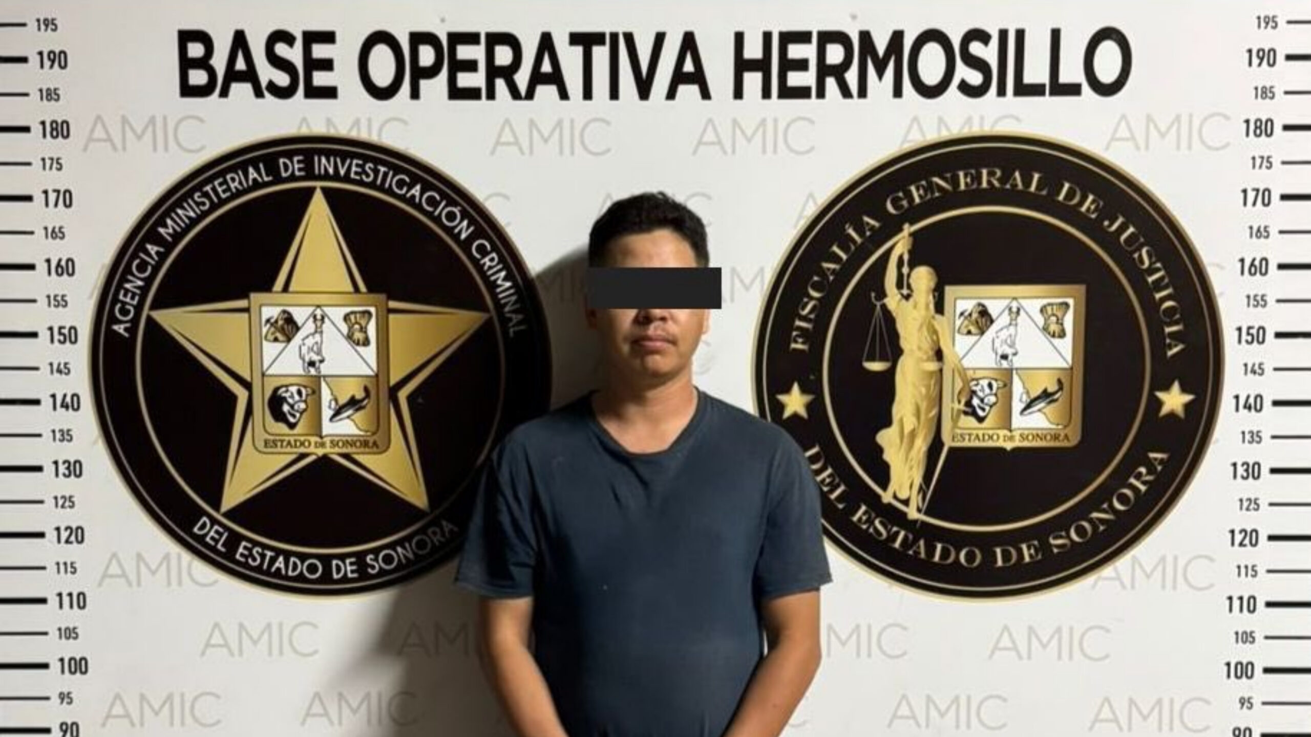 Plecas e informacion (85)