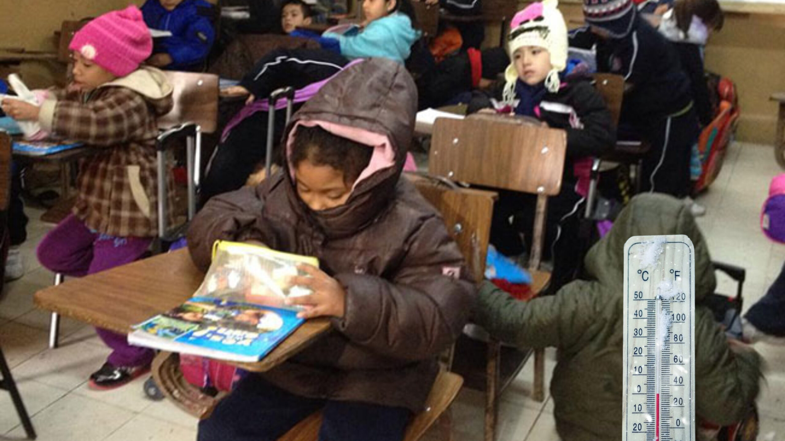 Plecas e informacion (94)