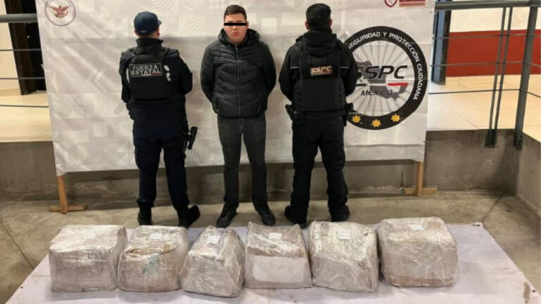 Plecas e informacion (97)