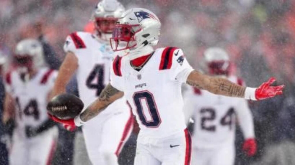 Plecas e informacion (98)