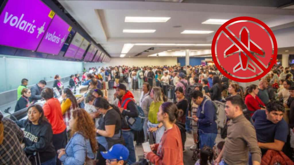 Plecas e informacion (99)