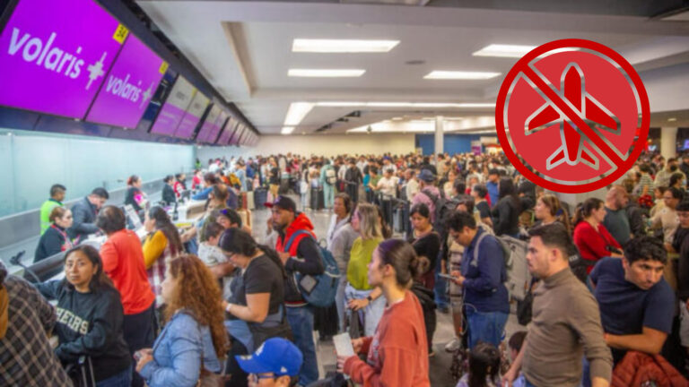 Plecas e informacion (99)