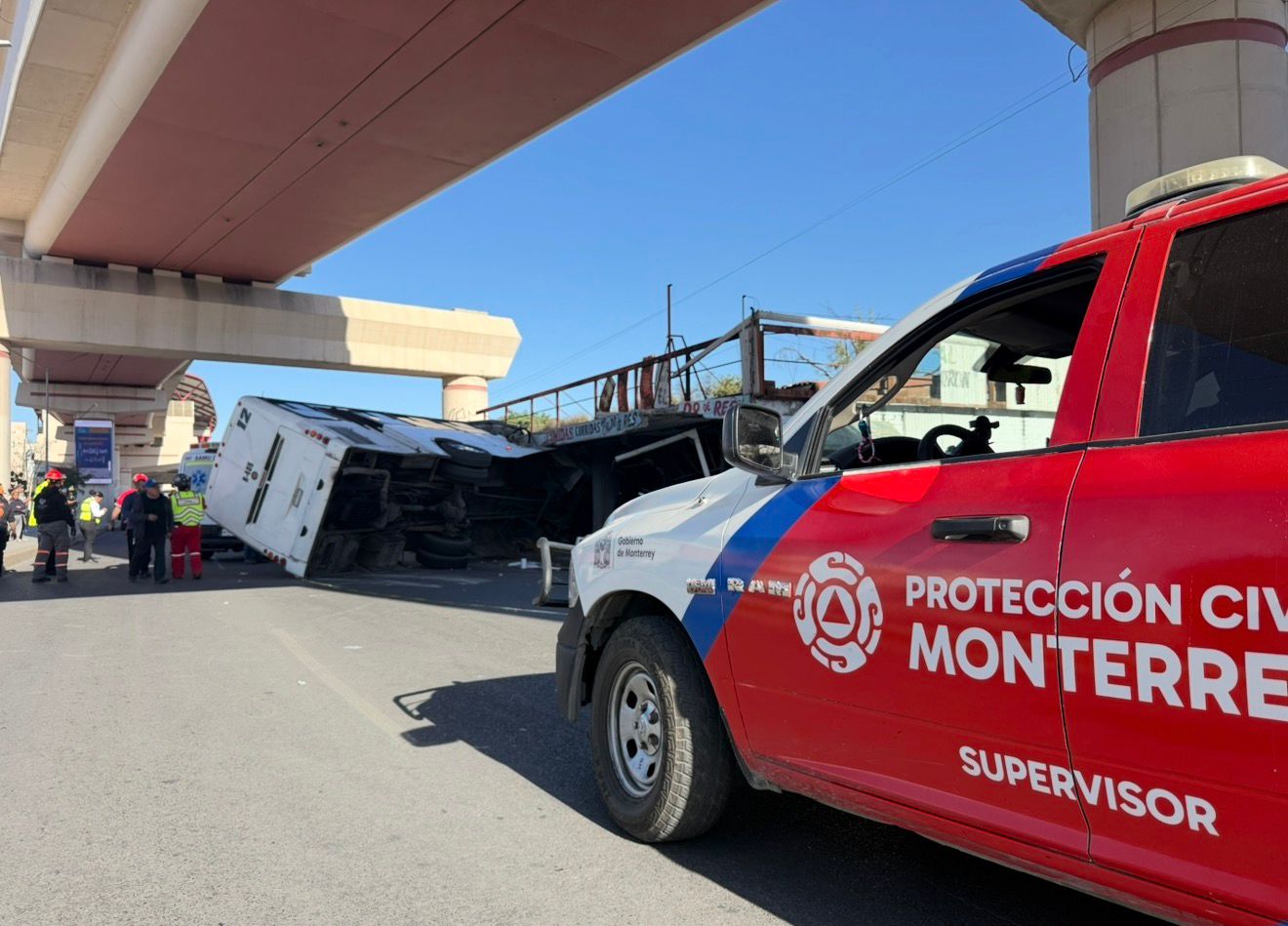 WhatsApp Image 2026-01-18 at 4.33.49 PM