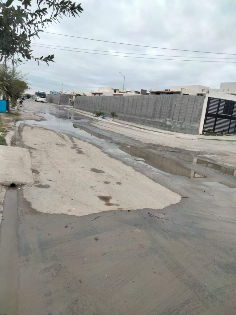 WhatsApp Image 2026-01-23 at 2.39.37 PM