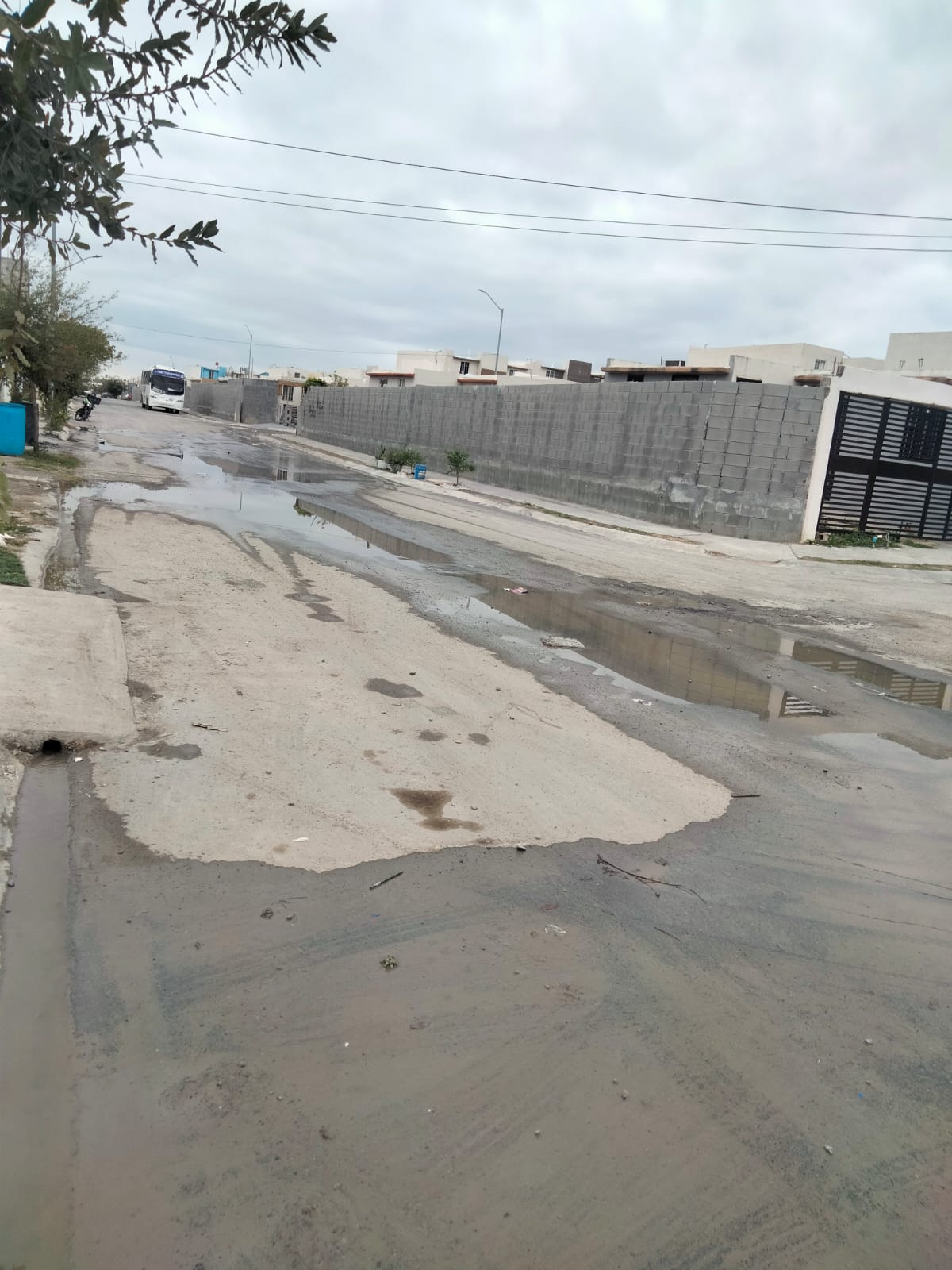 WhatsApp Image 2026-01-23 at 2.39.37 PM