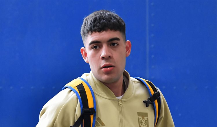 tigres1-c6f09f69-focus-min0.03-0.51-750-440