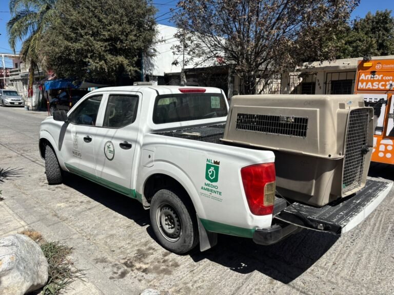 3c510b06-d099-488d-bf9f-cf4754fe12cf