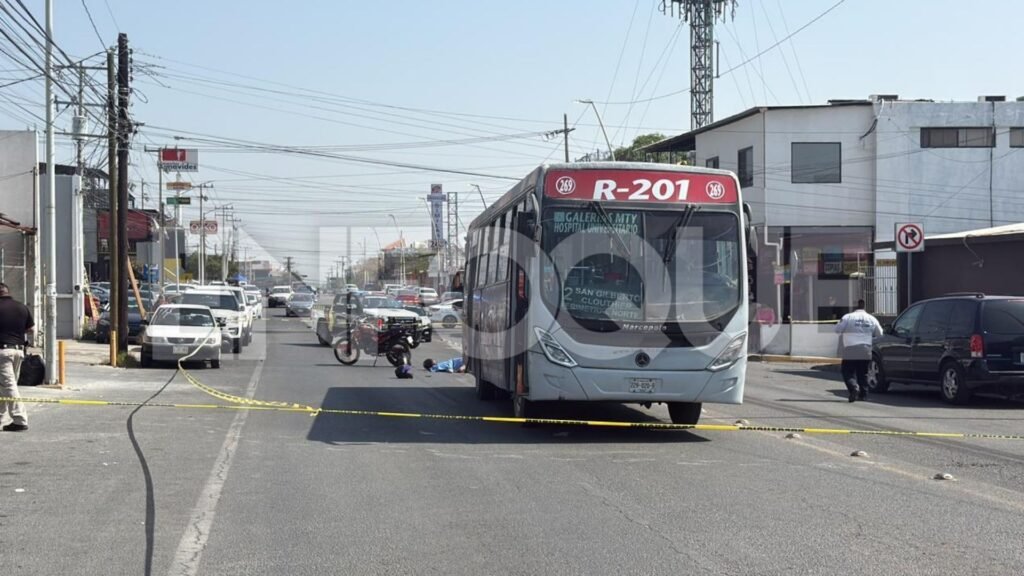 Plecas e informacion