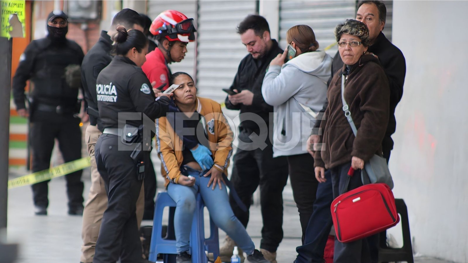 Plecas e informacion