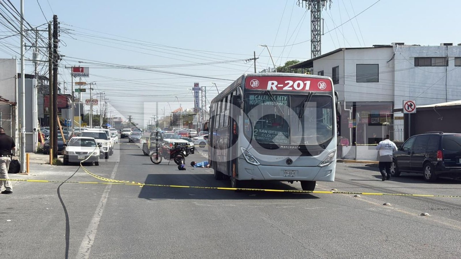 Plecas e informacion