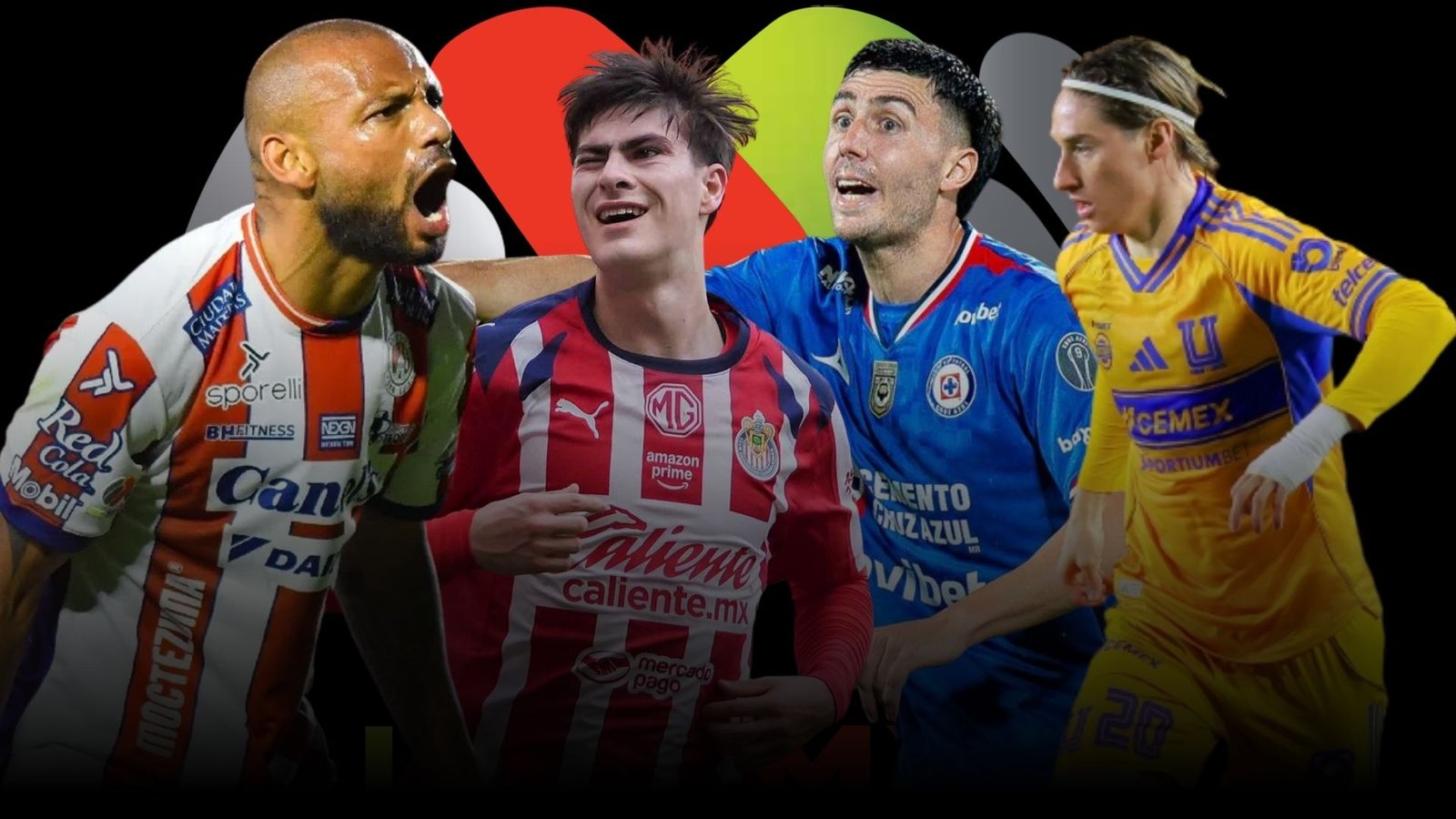 Plecas e informacion