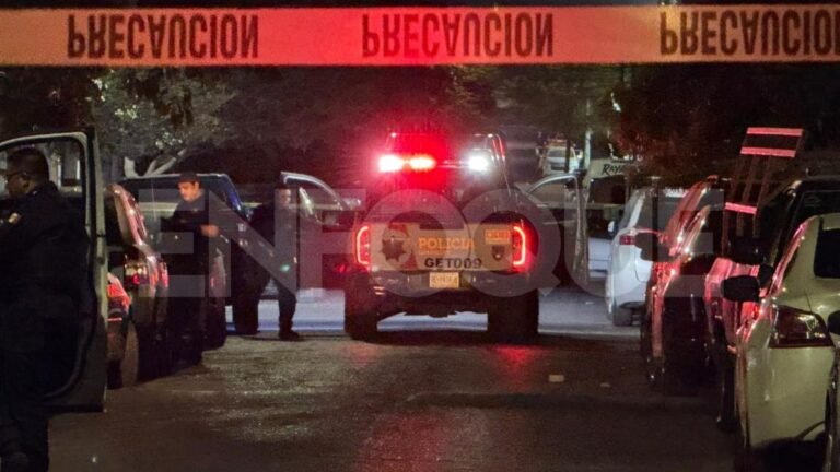 Plecas e informacion