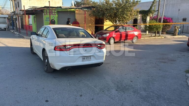 Plecas e informacion (15)