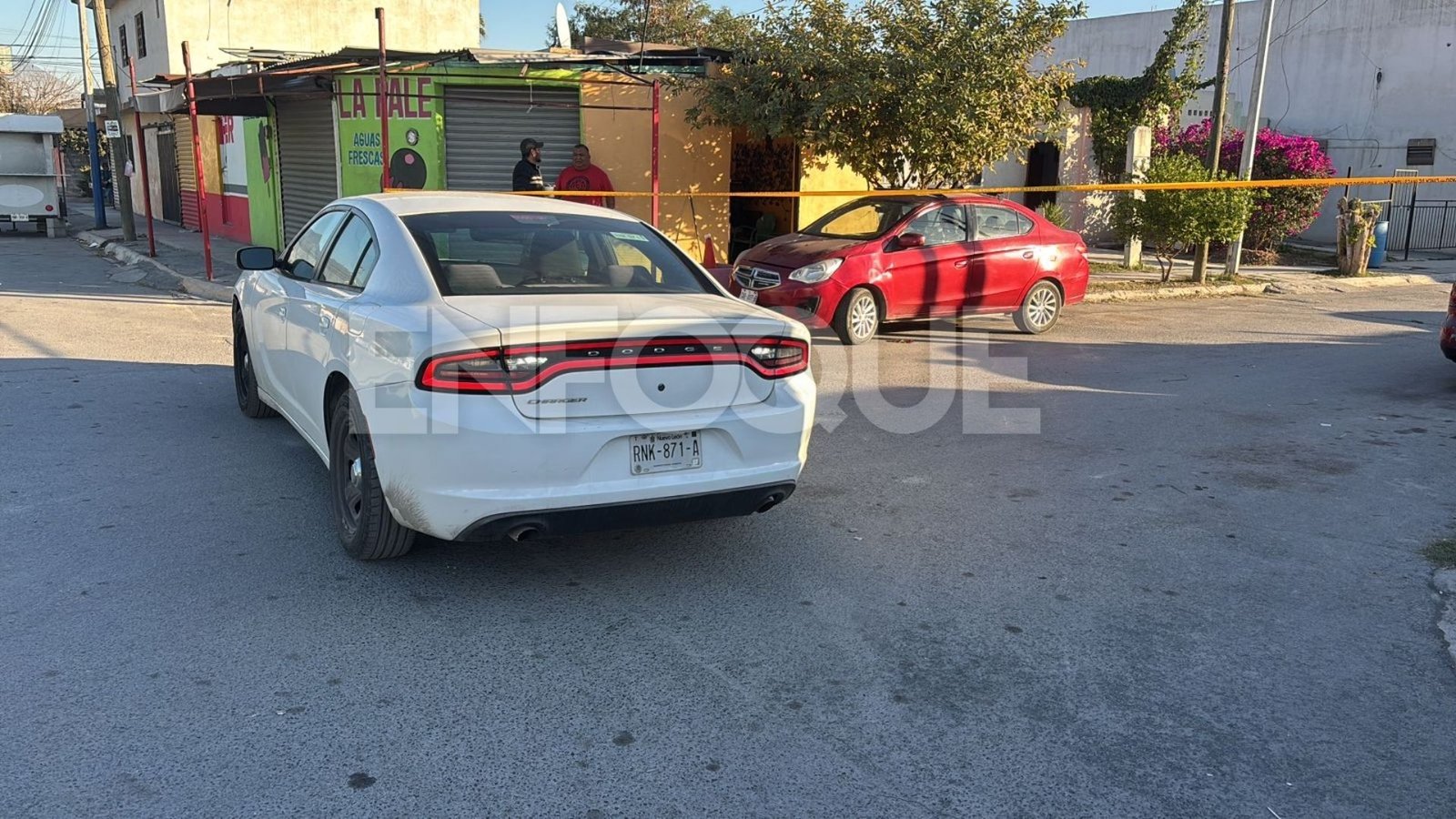 Plecas e informacion (15)