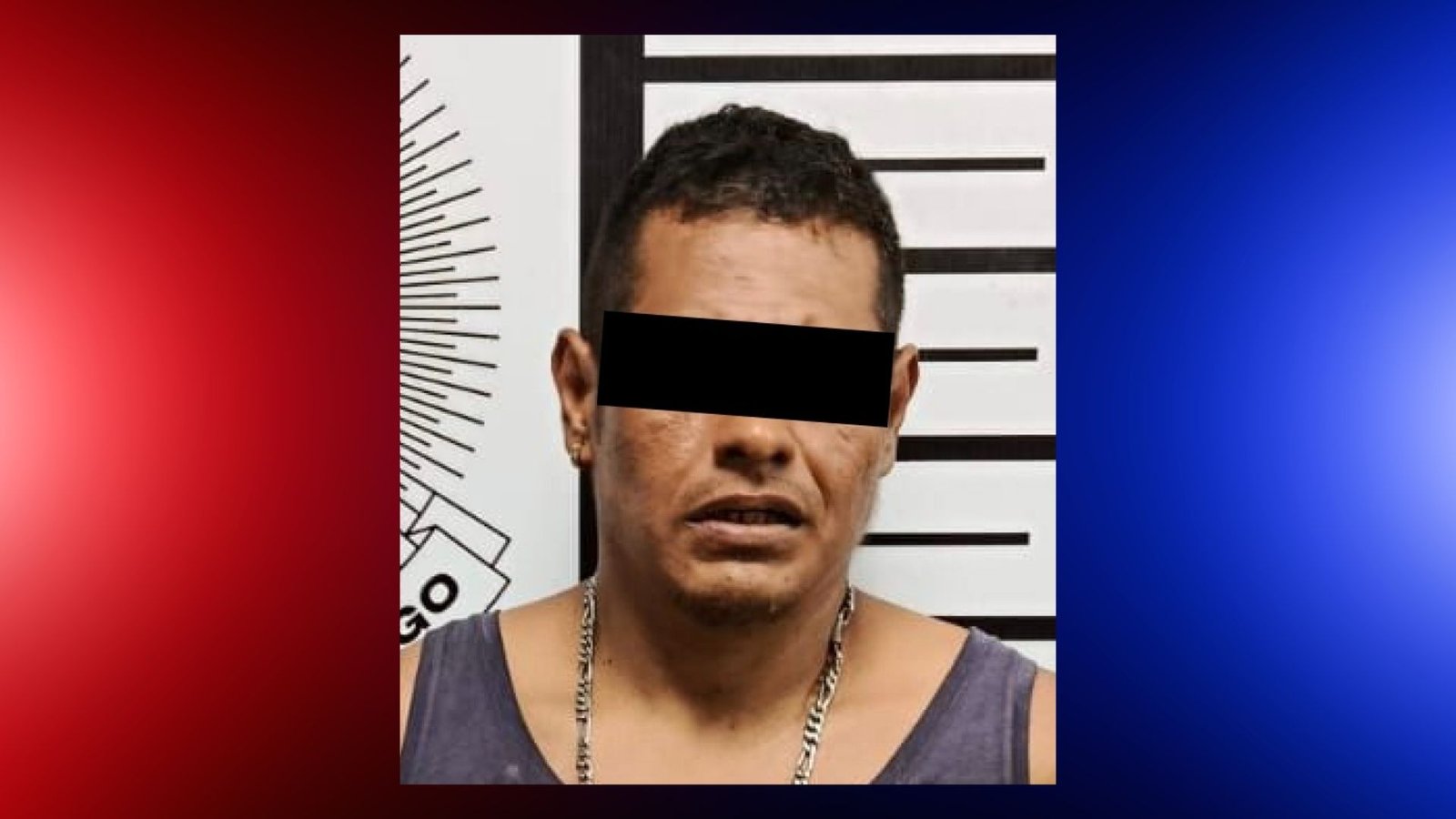 Plecas e informacion (16)