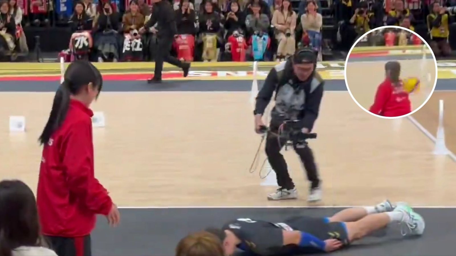 Plecas e informacion - 2026-02-02T125754.789