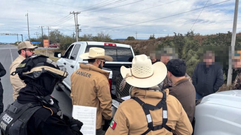 Plecas e informacion - 2026-02-02T175141.472