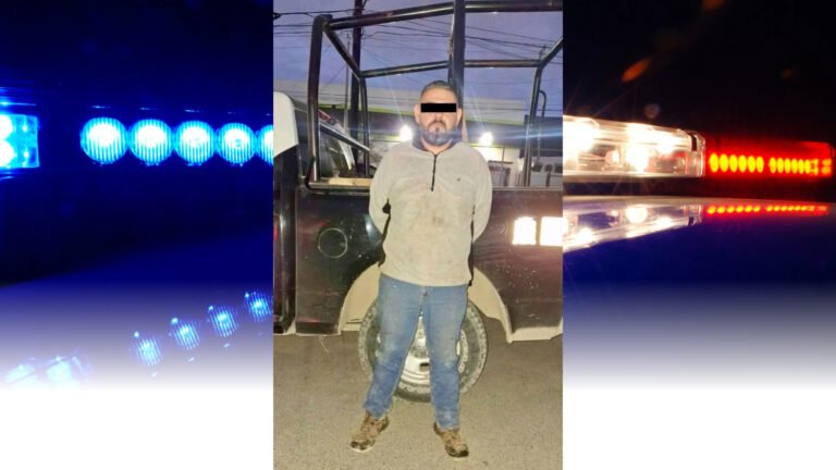 Plecas e informacion - 2026-02-03T123034.720