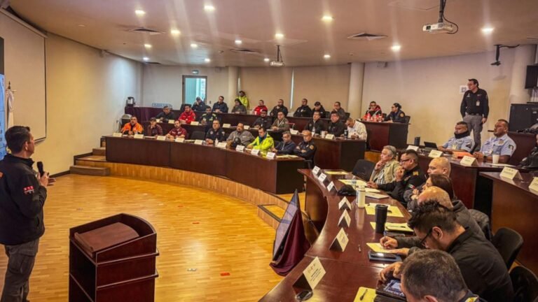 Plecas e informacion - 2026-02-04T165237.415