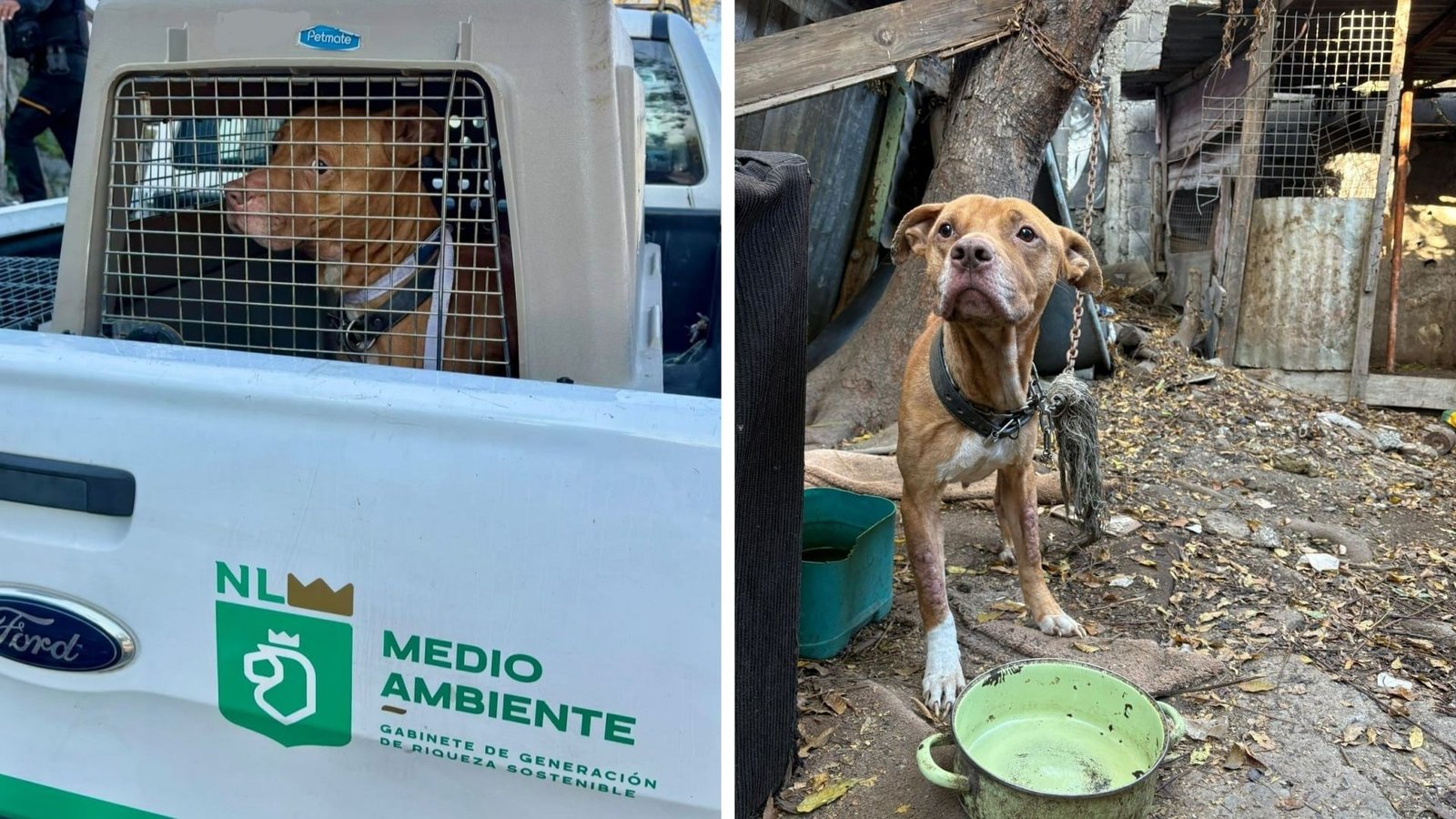 Plecas e informacion - 2026-02-04T171805.774