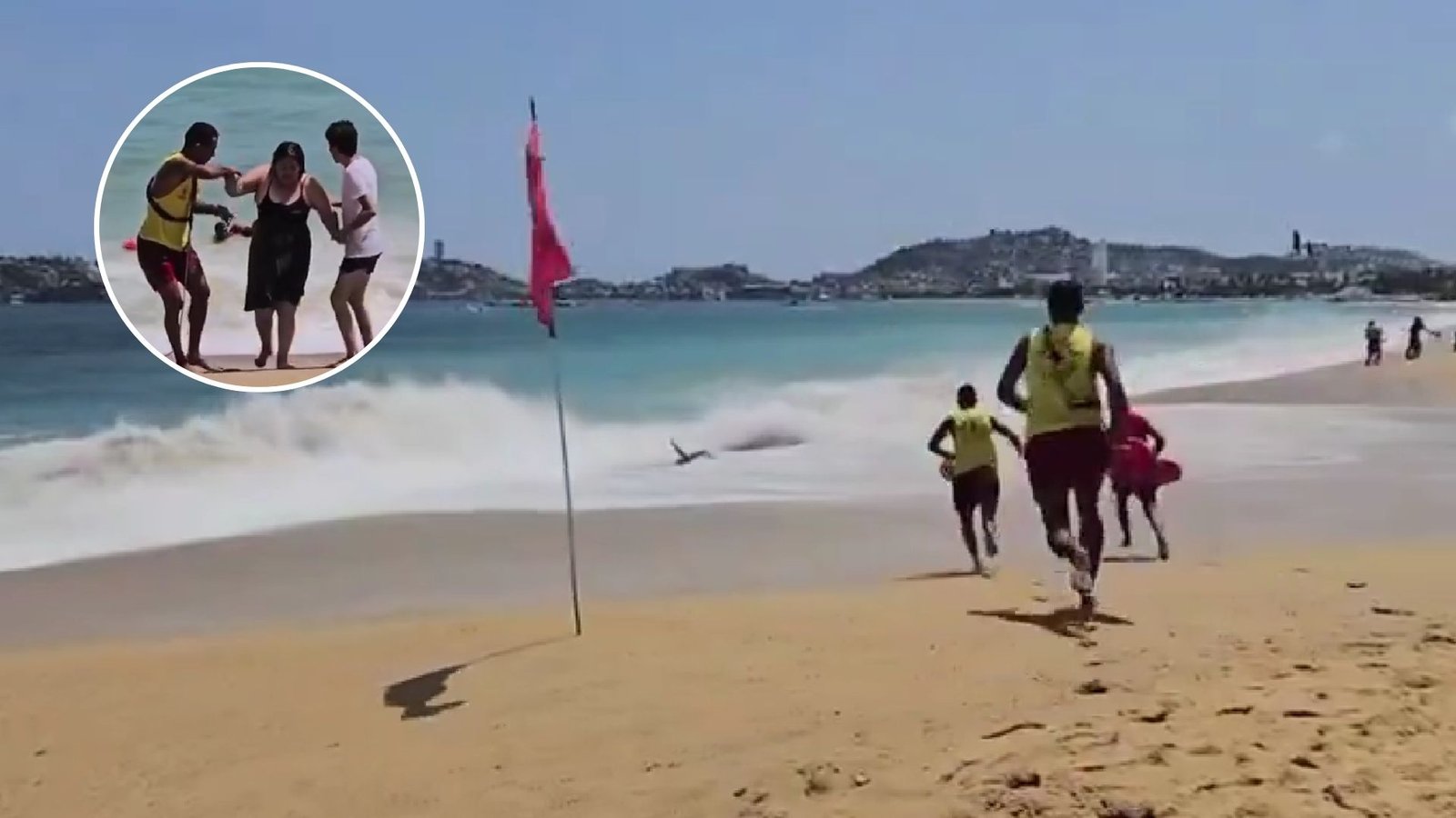 Plecas e informacion - 2026-02-04T175632.365