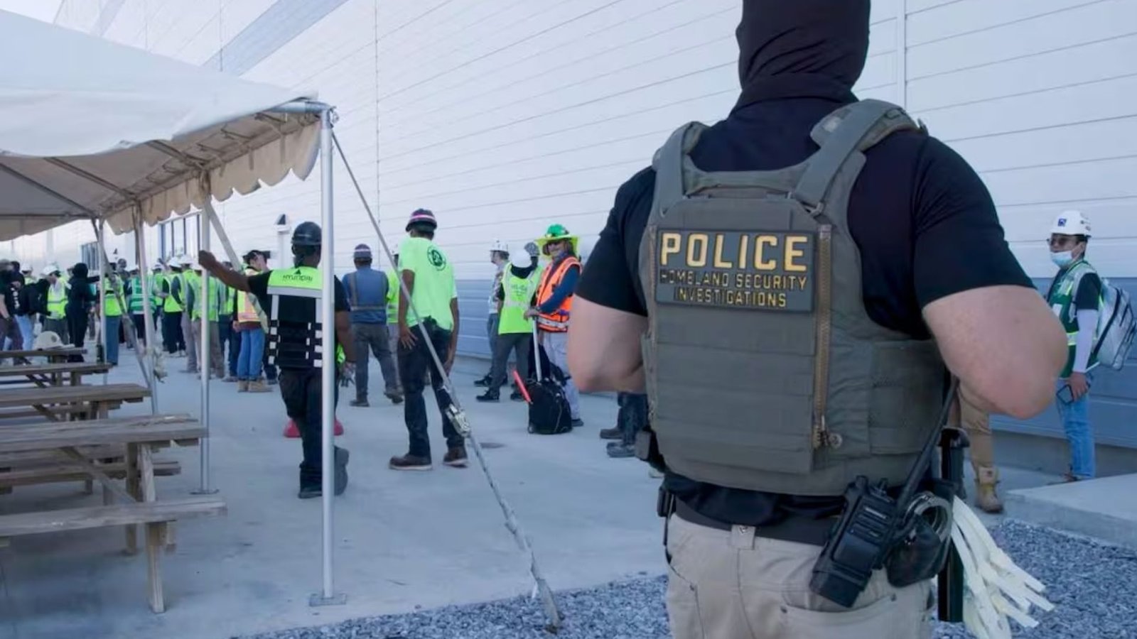 Plecas e informacion - 2026-02-05T143033.913