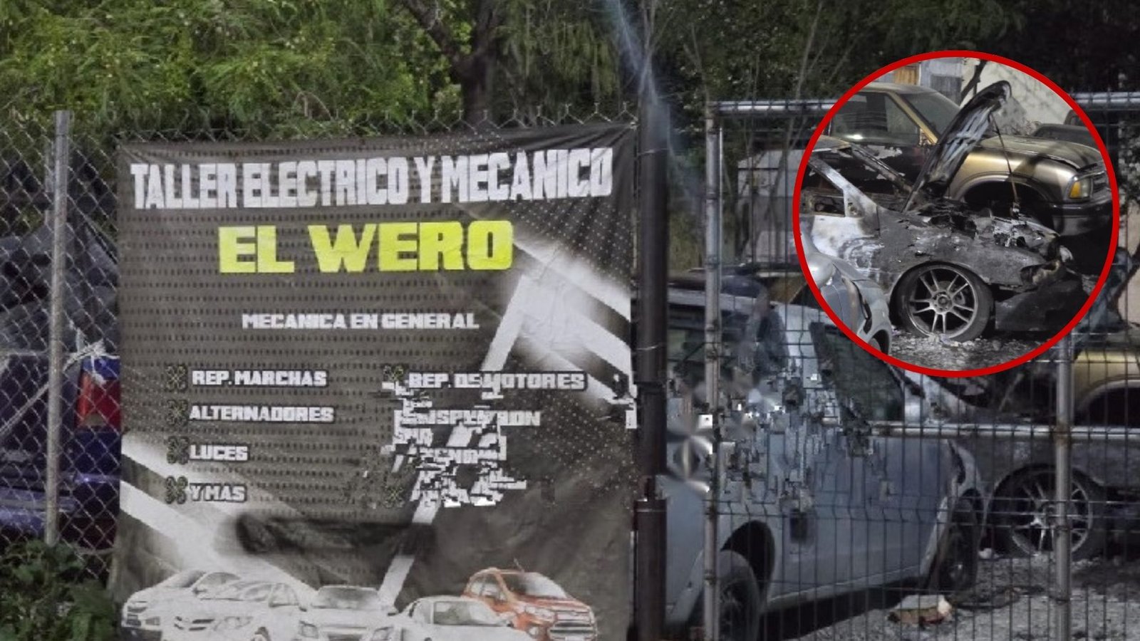 Plecas e informacion - 2026-02-05T145754.909