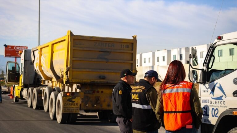 Plecas e informacion - 2026-02-05T154651.776