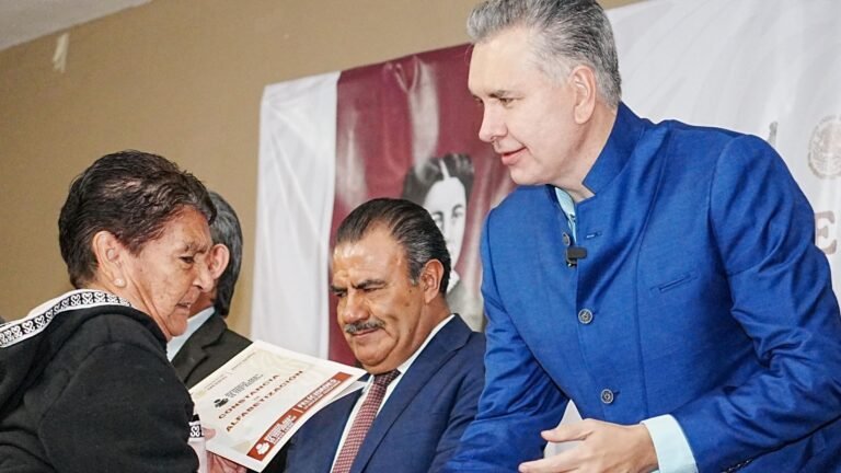 Plecas e informacion - 2026-02-05T161636.775