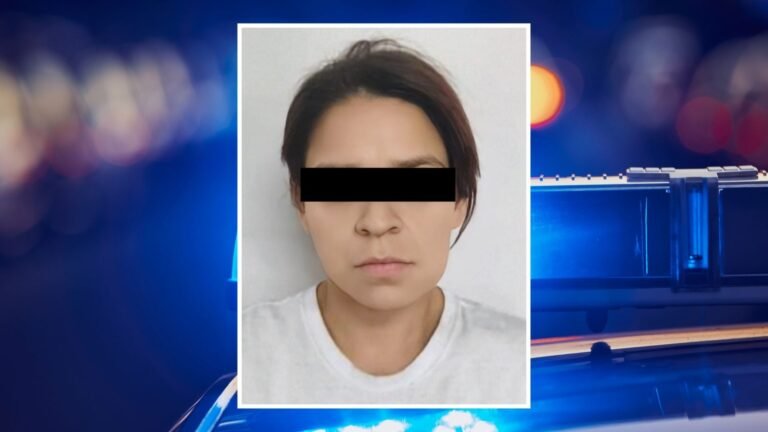 Plecas e informacion - 2026-02-06T154604.352