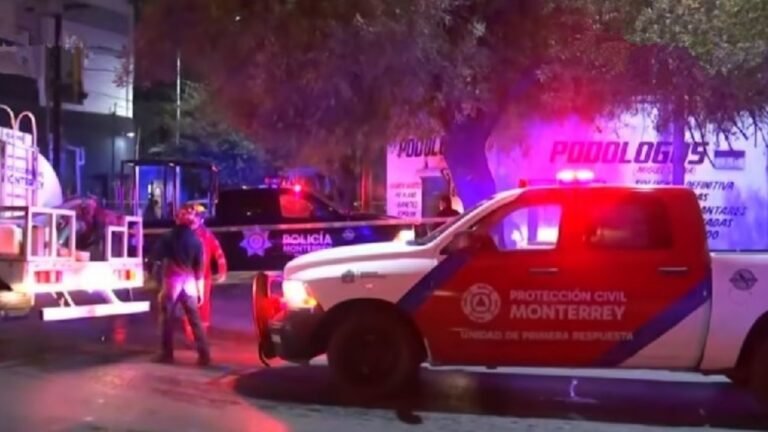 Plecas e informacion - 2026-02-07T103801.107