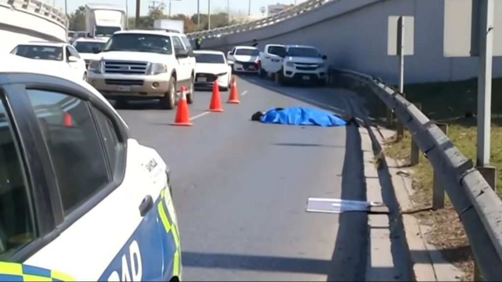 Plecas e informacion - 2026-02-07T133928.127