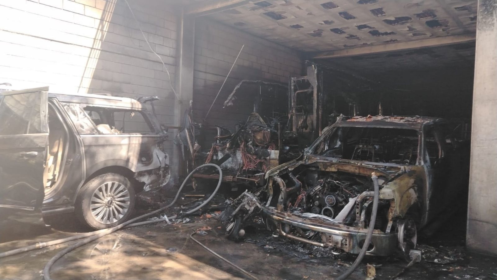 Plecas e informacion - 2026-02-09T182517.526