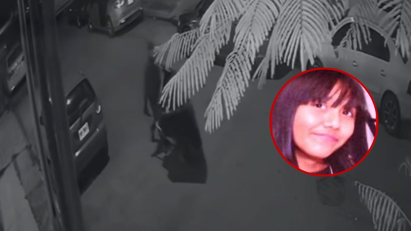 Plecas e informacion - 2026-02-09T182938.548