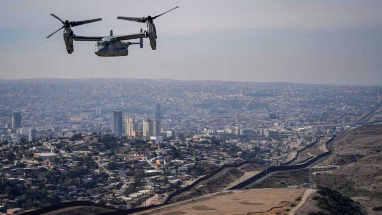 Plecas e informacion - 2026-02-11T110239.632