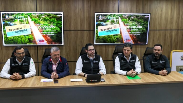 Plecas e informacion - 2026-02-11T160029.481