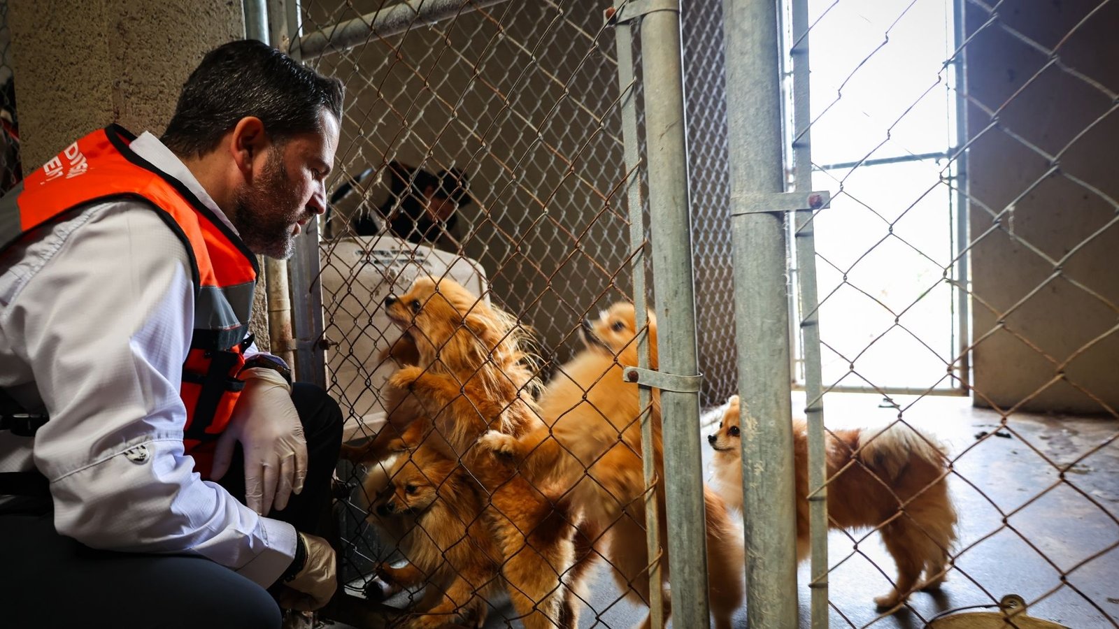 Plecas e informacion - 2026-02-11T161251.232