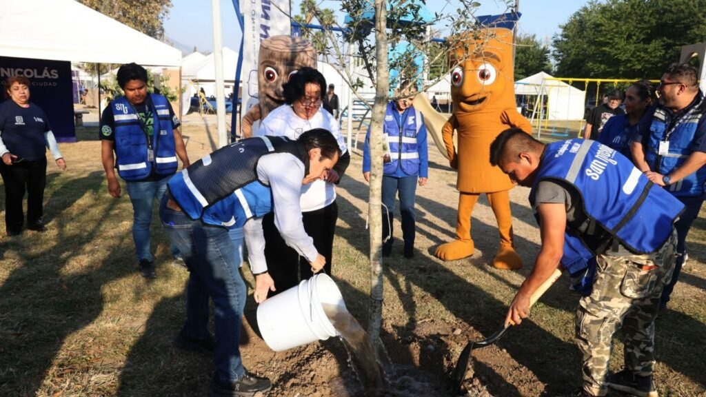 Plecas e informacion - 2026-02-11T165006.461