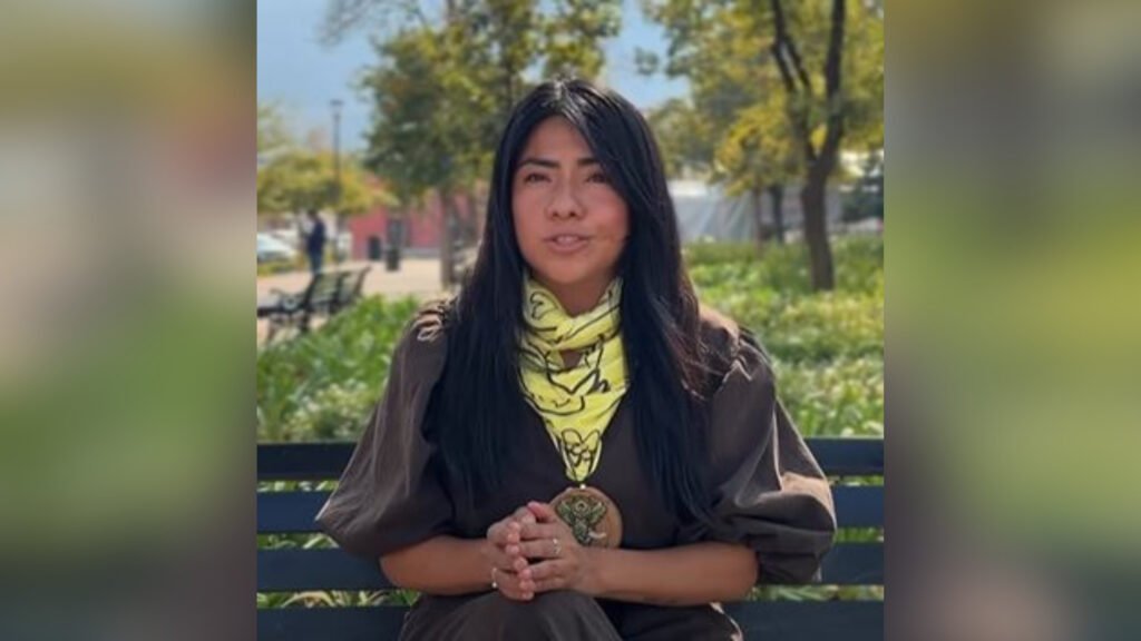 Plecas e informacion - 2026-02-12T160225.589