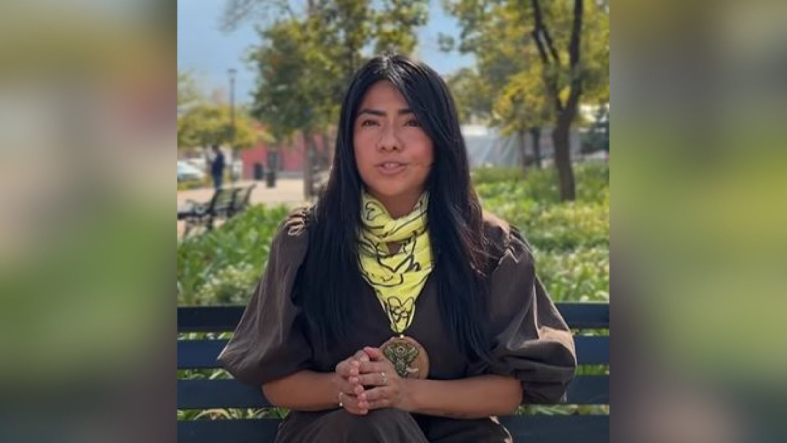 Plecas e informacion - 2026-02-12T160225.589