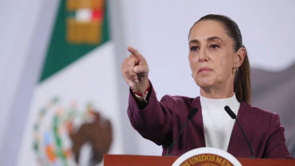 Plecas e informacion - 2026-02-13T132318.362