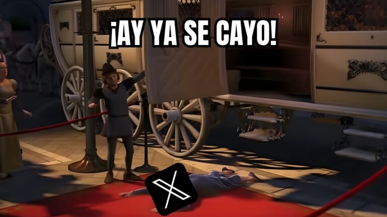 Plecas e informacion - 2026-02-16T100048.259