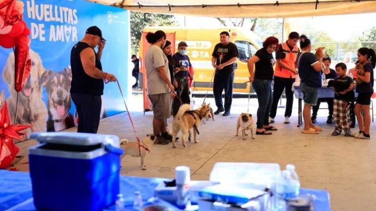 Huellitas de Amor Guadalupe