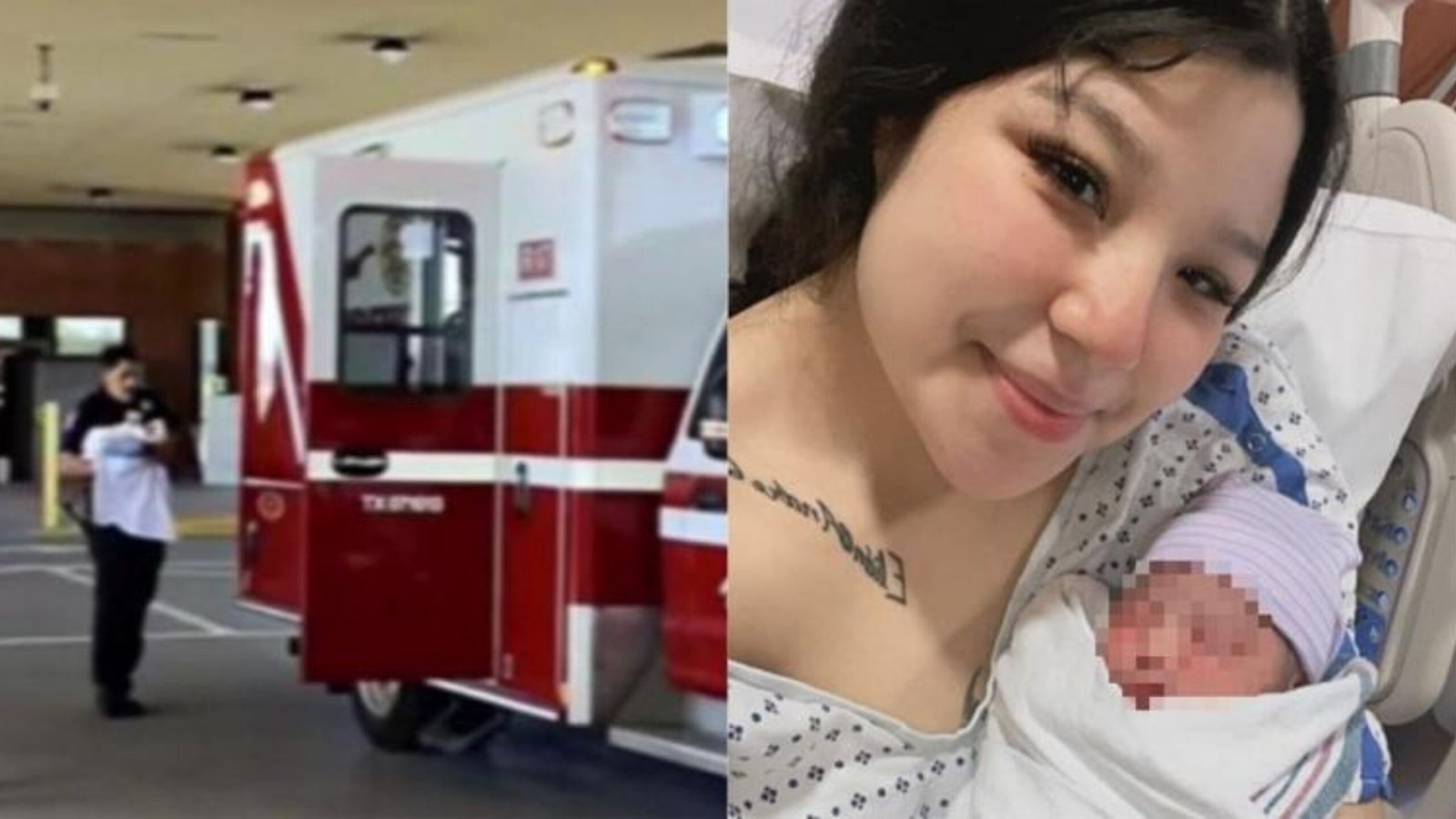 Plecas e informacion - 2026-02-16T151356.728